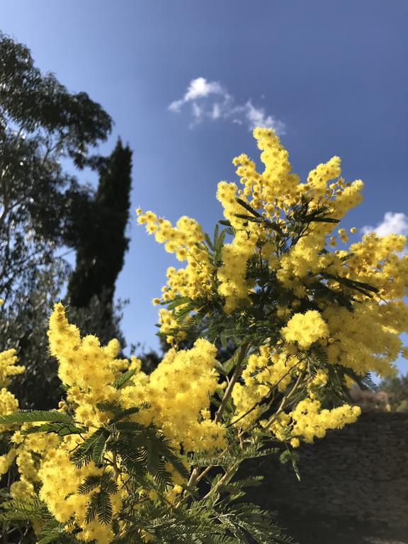 Mas Caipi La Cadiere D'Azur At My Luxury Home In Provence ภายนอก รูปภาพ
