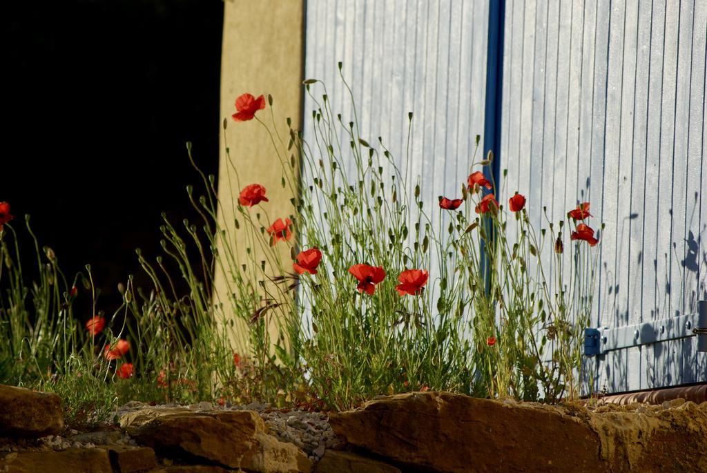 Mas Caipi La Cadiere D'Azur At My Luxury Home In Provence ภายนอก รูปภาพ